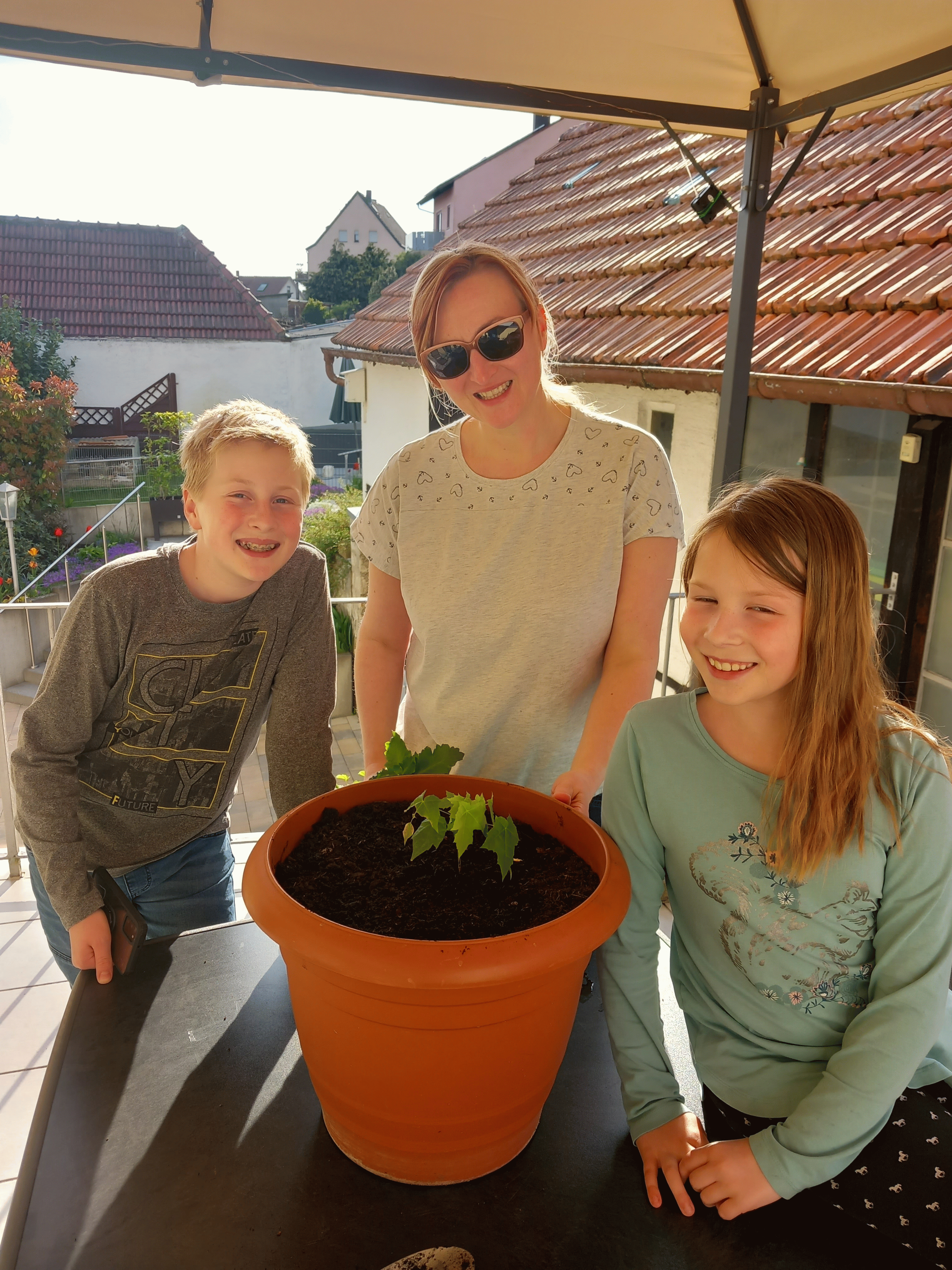 Eva Urlaub und ihre Familien pflanzen in Würzburg einen Ahorn.